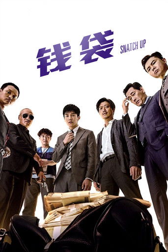 Сумка с деньгами