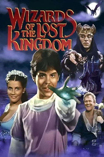 Волшебники Забытого королевства