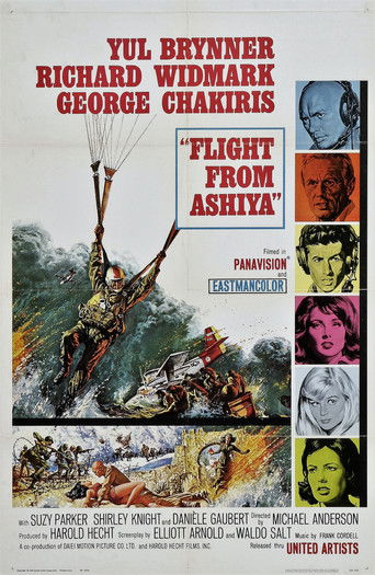 Полет из Асии