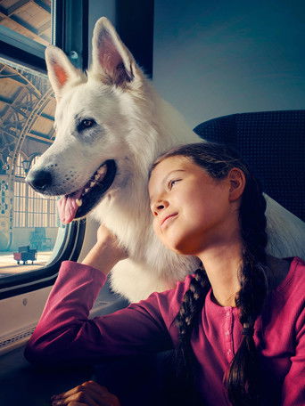 Лампо. Невероятное путешествие