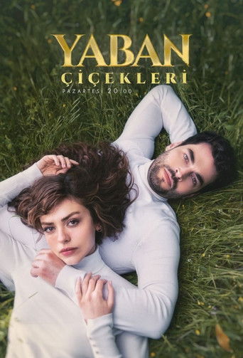 Дикие цветы