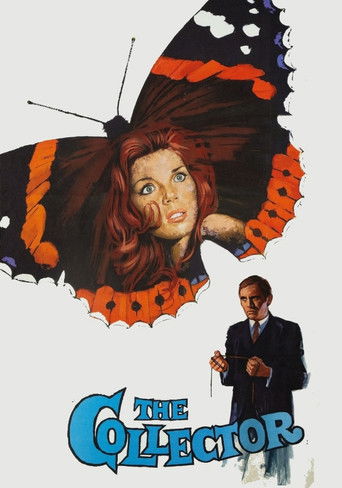 Коллекционер