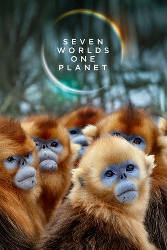 Семь миров, одна планета