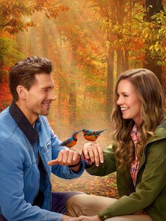 Любовь, приключения и птицы