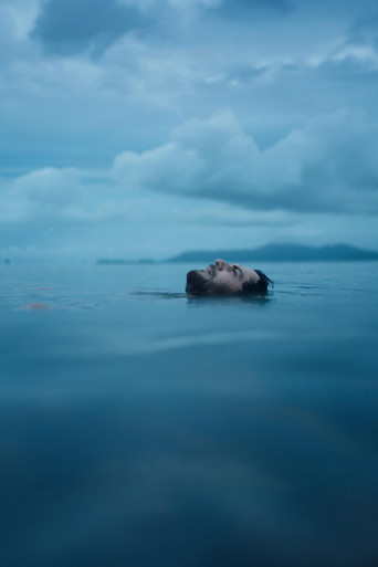 Сад подсолнухов