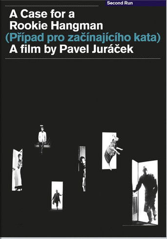 Дело для начинающего палача