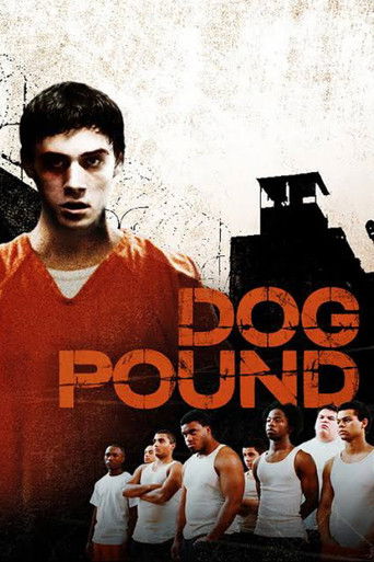 Загон для собак