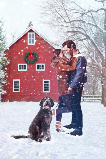 Маленькое пушистое Рождество