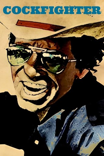 Бойцовский петух