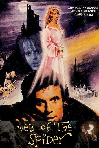 В объятиях паука