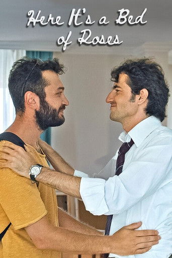 Ложе из роз