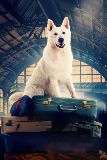 Лампо. Невероятное путешествие