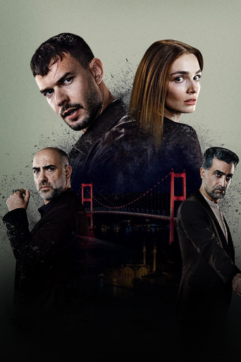 Анатомия хаоса