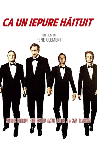 Бег зайца через поля