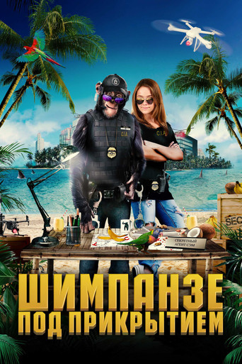 Шимпанзе под прикрытием