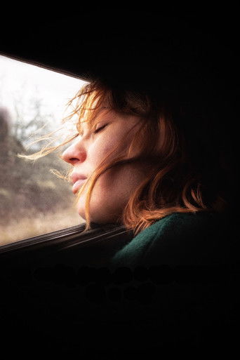 Купе номер 6