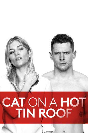 Кошка на раскалённой крыше