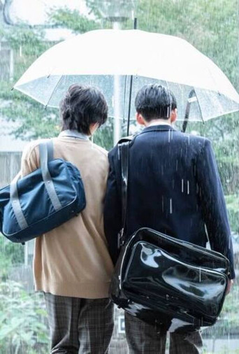 Исчезающая первая любовь