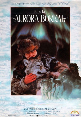 Под северным сиянием