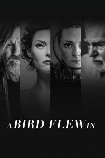 Залётная птица