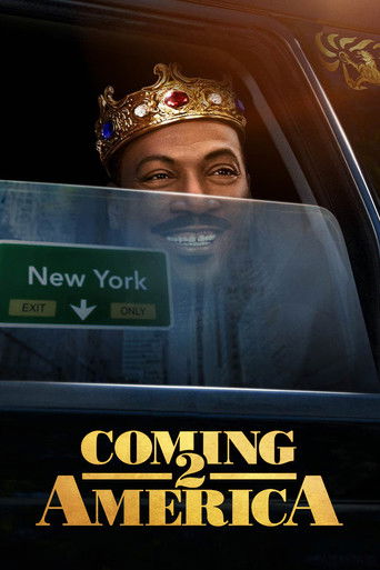 Поездка в Америку 2