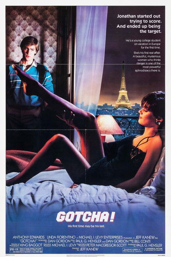 Попался, или Шпионские игры