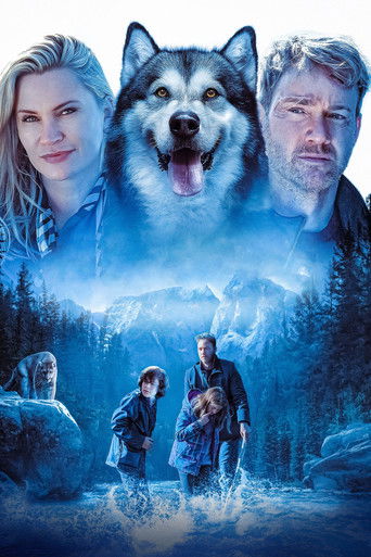 Собака-герой: путешествие домой