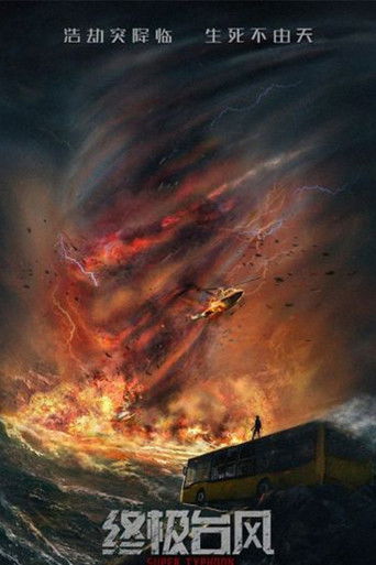 Супер Тайфун