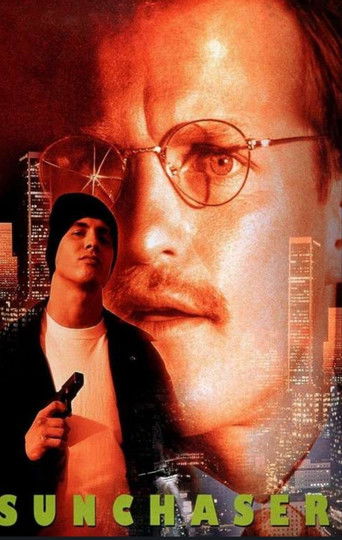 Ловец солнца