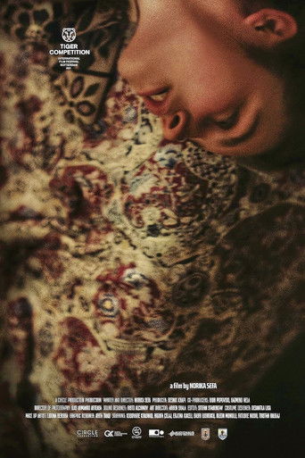 В поисках Венеры