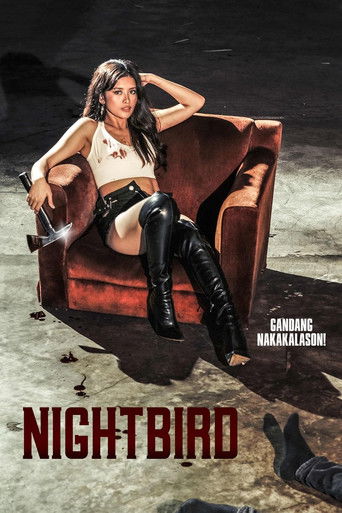 Ночная пташка