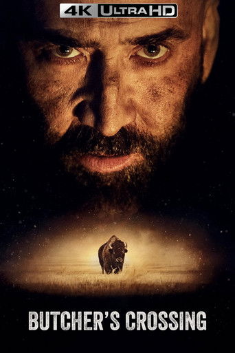 В поисках зверя