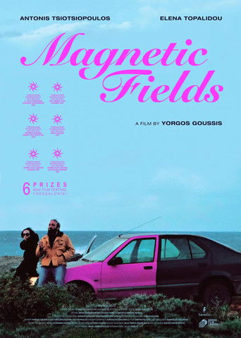 Магнитные поля