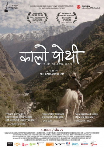 Чёрная курица