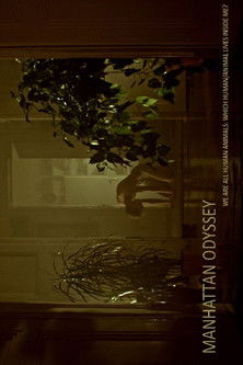 Манхэттенская одиссея