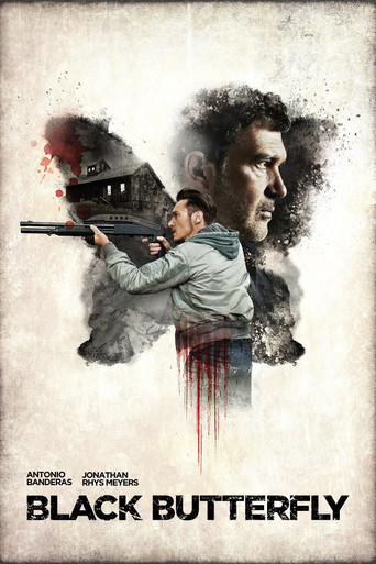 Черная бабочка