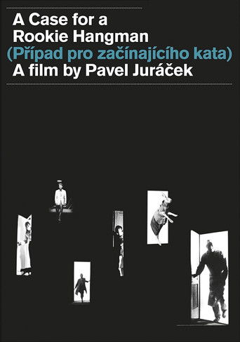 Дело для начинающего палача