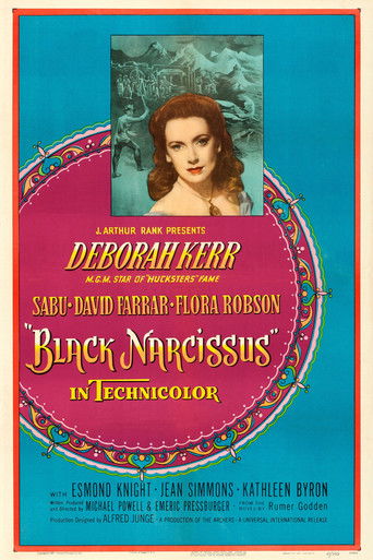 Чёрный нарцисс