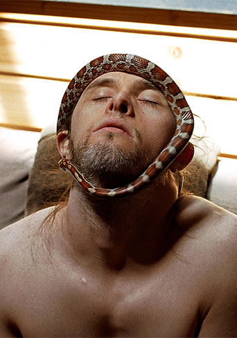 Тео и метаморфозы