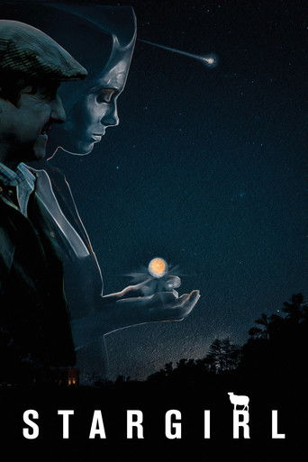 Звёздная гостья