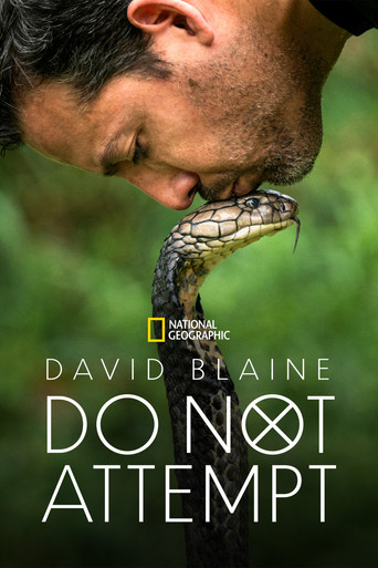 Дэвид Блейн: Не пытайтесь