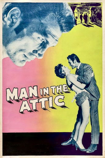 Человек на чердаке