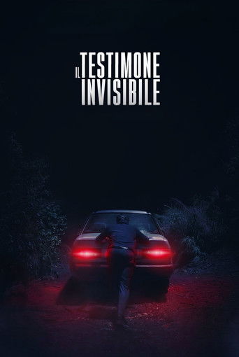 Невидимый свидетель