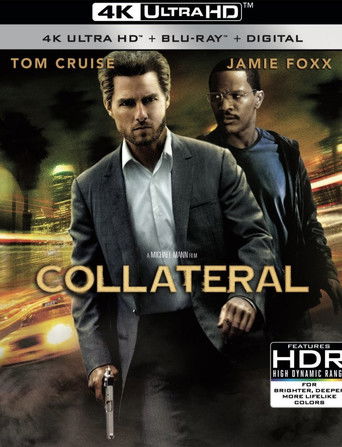 Соучастники 2015