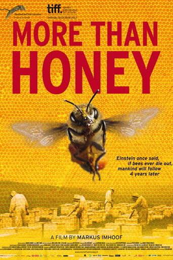 Больше чем мёд