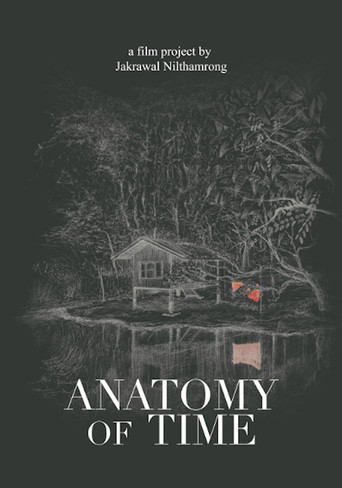 Анатомия времени