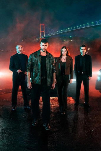 Анатомия хаоса