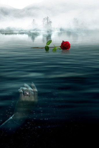 Роза на её могиле: История Рэнди Рота