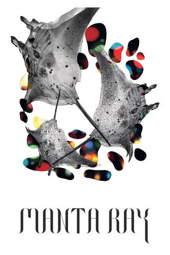 Манта Рэй