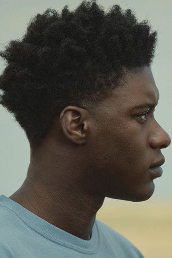 Последнее дерево